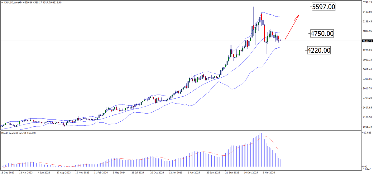 XAUUSD haftalik grafik — Bollinger Bands, MACD noldan yuqorida, qo'llab-quvvatlash 4,220 USD/4,500 USD, ATH 5,597 USD, 2026-yil 26-may ko'rib chiqilgan